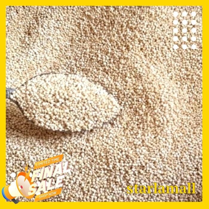 

ORGANIC WHITE QUINOA 100GR TERJAMIN BEST