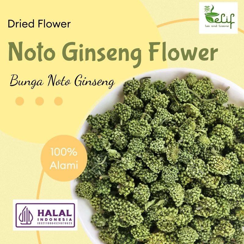 

Original Panax Noto Ginseng Flower Tea / San Or Tian Qi Hua / Teh Bunga Ginseng