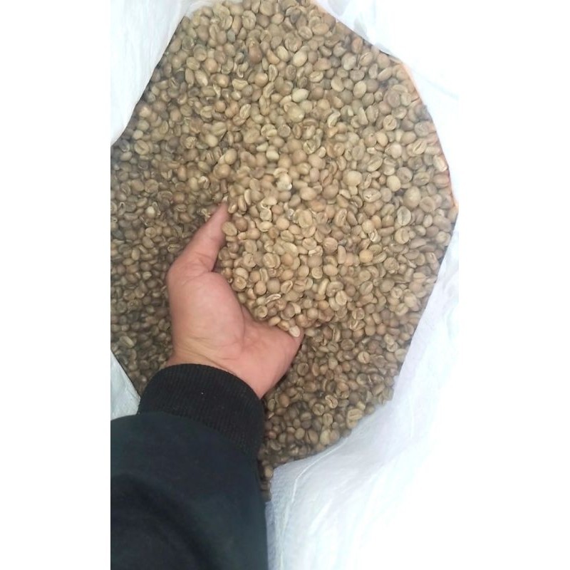 Green bean Kopi robusta/kopi mentah grade A kualitasTerbaik 100% biji super 1kg