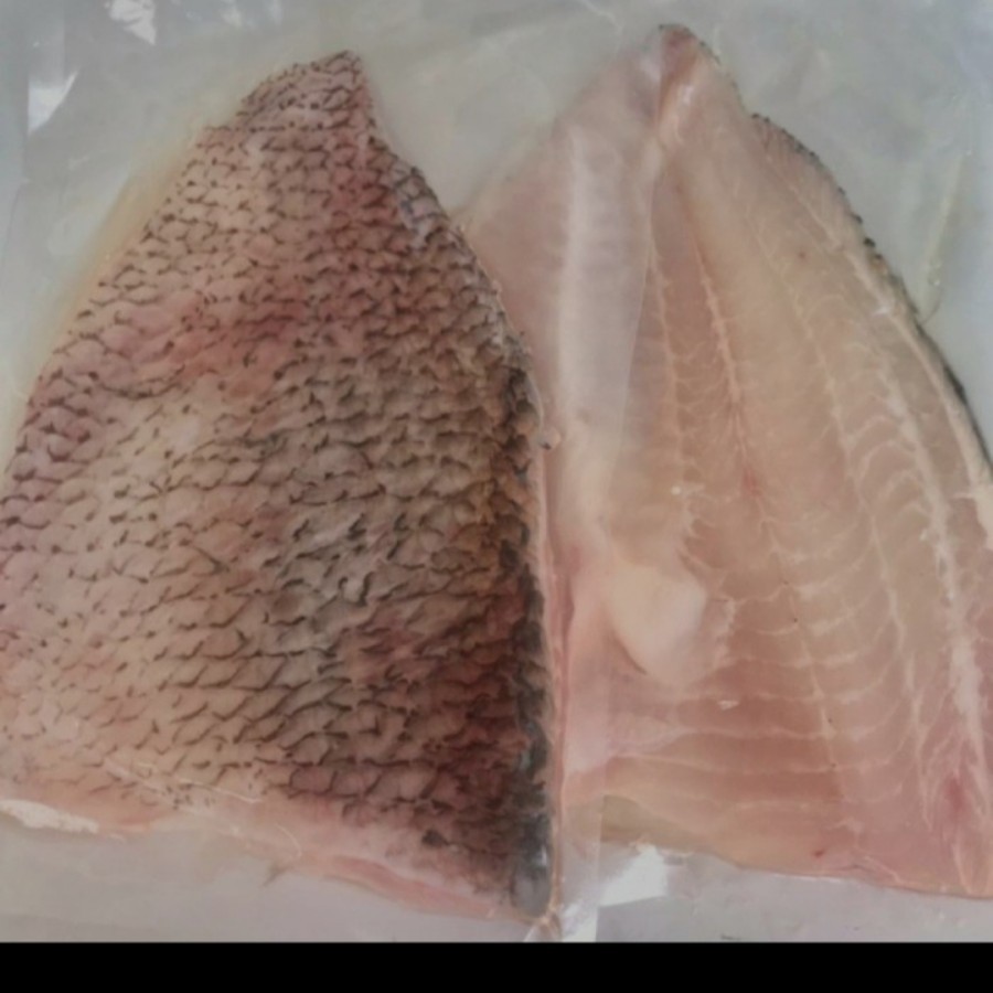 

Gurame Fillet @1kg