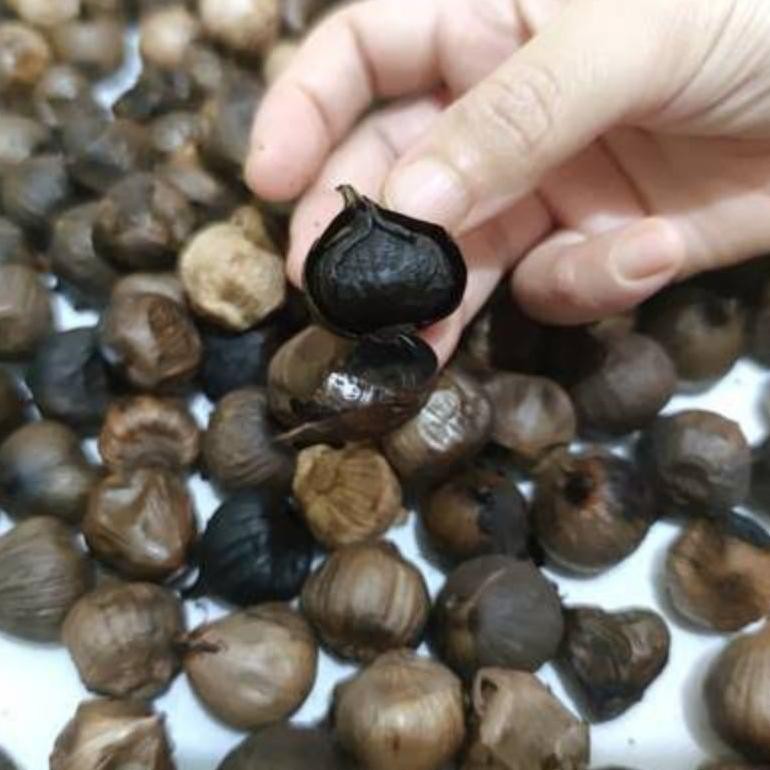 

Bawang Hitam Nusantara 250 Gram Terbaik