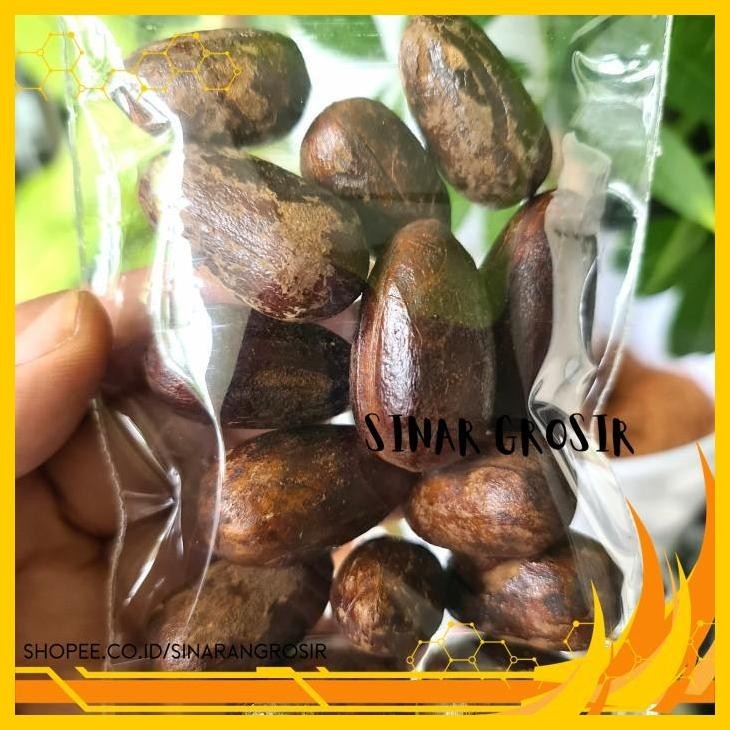 

BIJI PALA LONJONG 100GR KUALITAS BAGUS - UTUH MASIH ADA KULIT KUALITAS SUPER