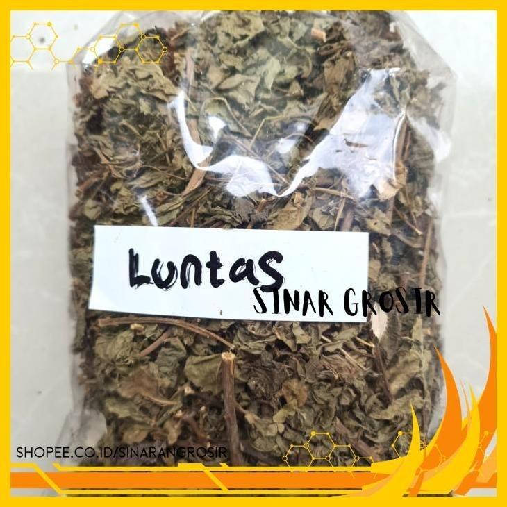 

DAUN BELUNTAS KERING 100GR - DAUN LUNTAS KERING GRADE A+