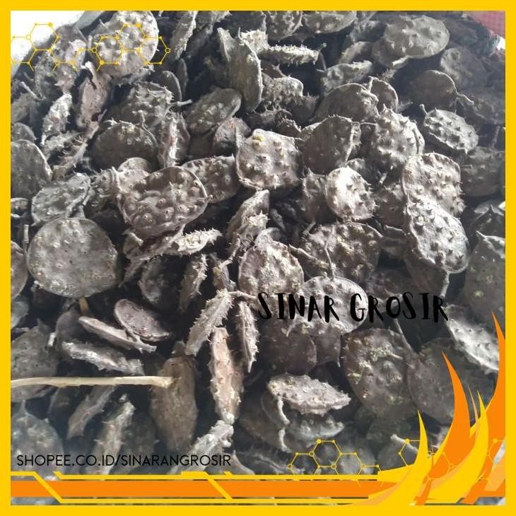 

HERBAL SEPRANTU 1KG KERING / SEPARANTU / SAPARANTU PRODUK PILIHAN