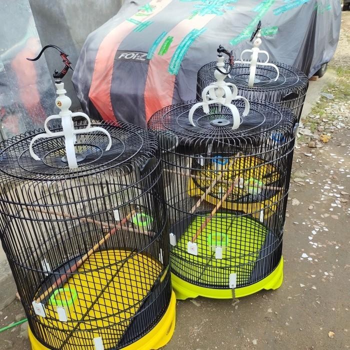 PROMO|NEW|TERBARU SANGKAR BURUNG MURAI BATU TEBOK PVC,TERLARIS