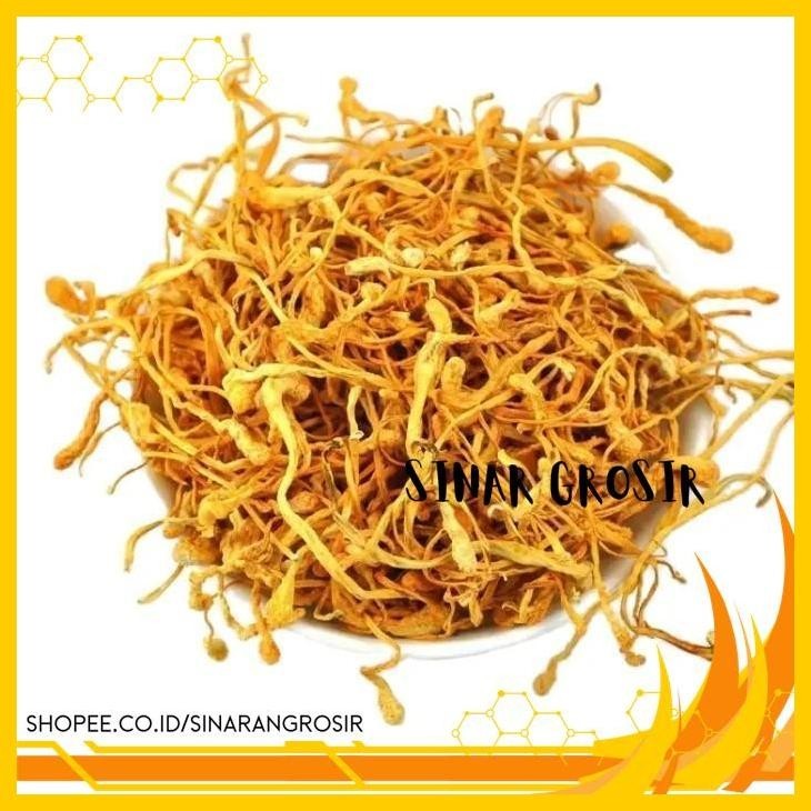 

BUNGA CORDYCEPS MILITARIS JAMUR / FLOWER JIN CHONG CAO HUA 50GR PRODUK PILIHAN
