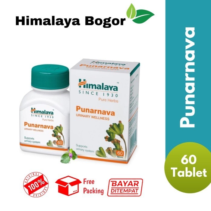 

Himalaya Punarnava Kantung Kemih, Kencing Lancar, Anyeng Anyengan