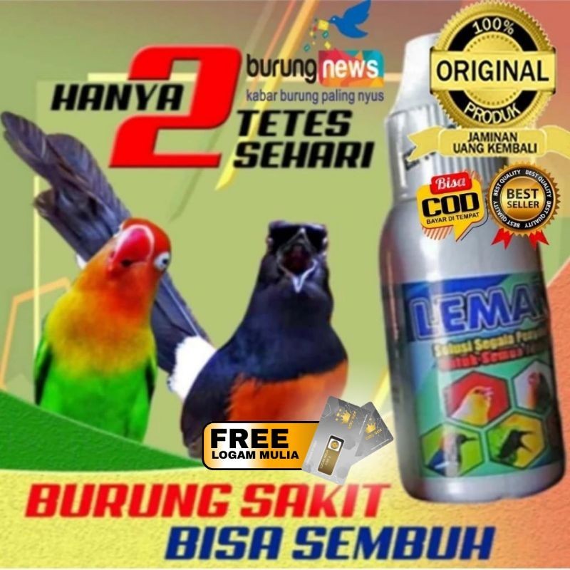 Vitamin Burung dan Obat Burung Sakit LEMANS Untuk Murai Batu Lovebird Kenari Semua Jenis Burung Reko