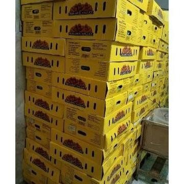 

Terjangkau Korma Golden Valley 10Kg Kurma Mesir Valey Date 10 Kg Geordino516