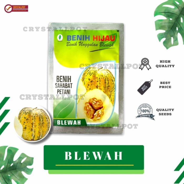 benih bibit buah blewah kemasan benih hijau - BENIH HIJAU BLEWAH TOP