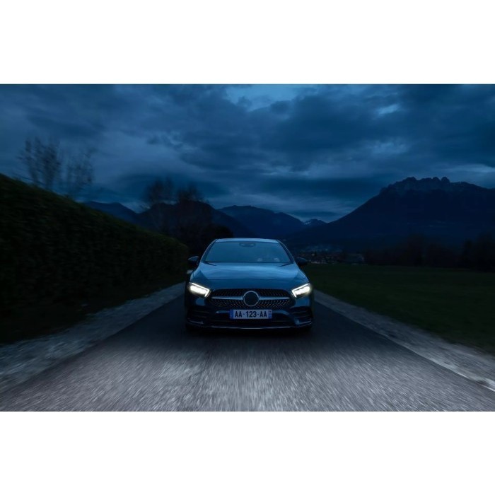 Philips Ultinon Access Led H8 H9 H16 6000K Bohlam Lampu Mobil Putih