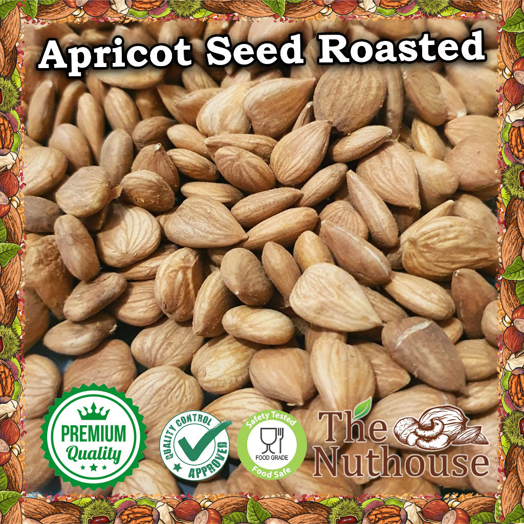 

500gr Apricot Kernel Roasted / Biji Aprikot Panggang