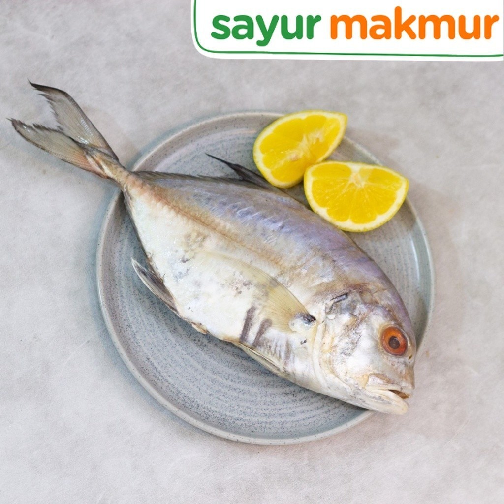 

Devan Seafood Ikan Kuwe Bulet 500 gram Sayurmakmur