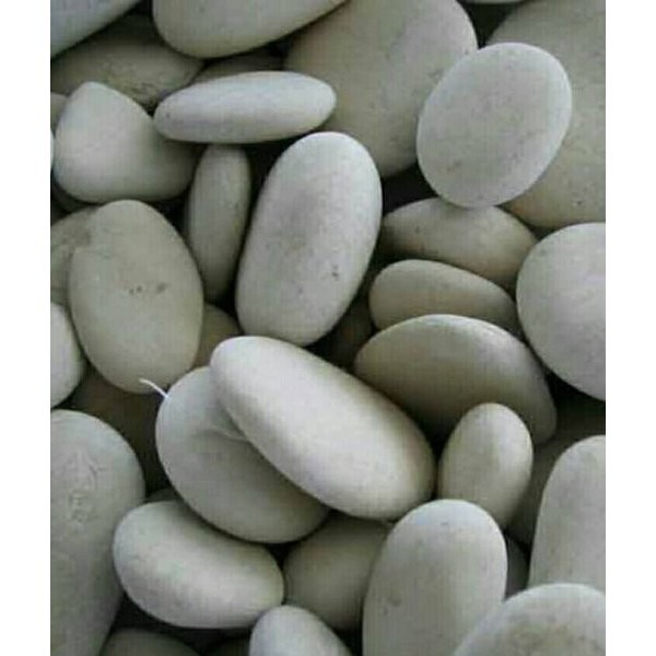 Online Seeds Batu Putih Besar Dekorasi Taman - 1000 Gram