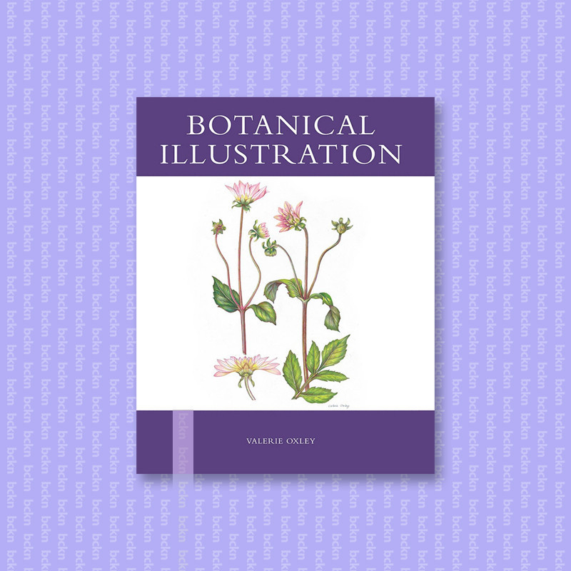 

Botanical Illustration - Valerie Oxley