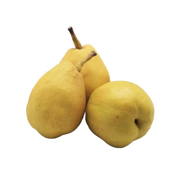 

PEAR XIANG LIE 530-550 GR