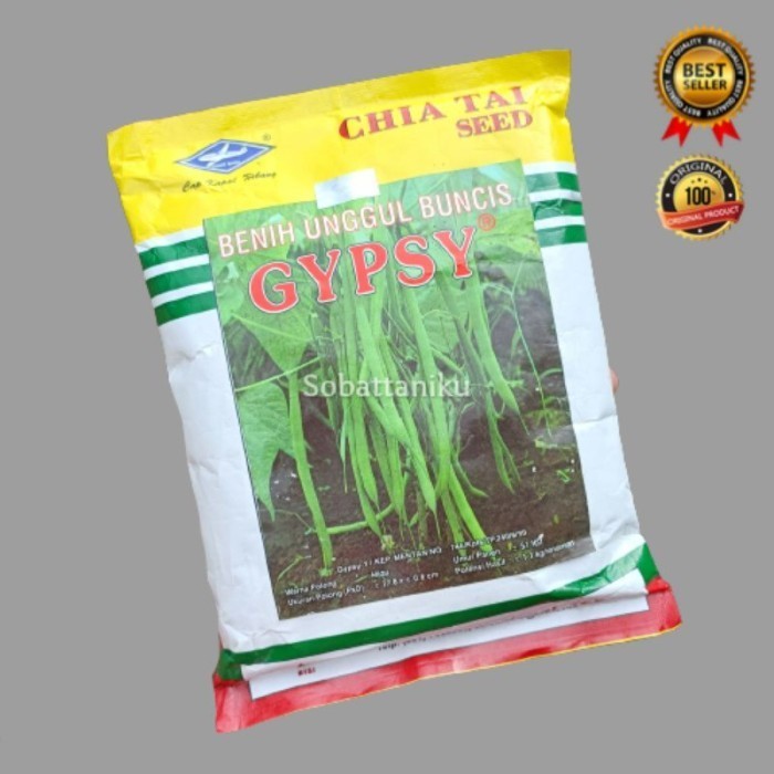 Viral Cod Benih Buncis Tegak Baby Kenya Gypsy 500 Gram Kemasan Pabrik