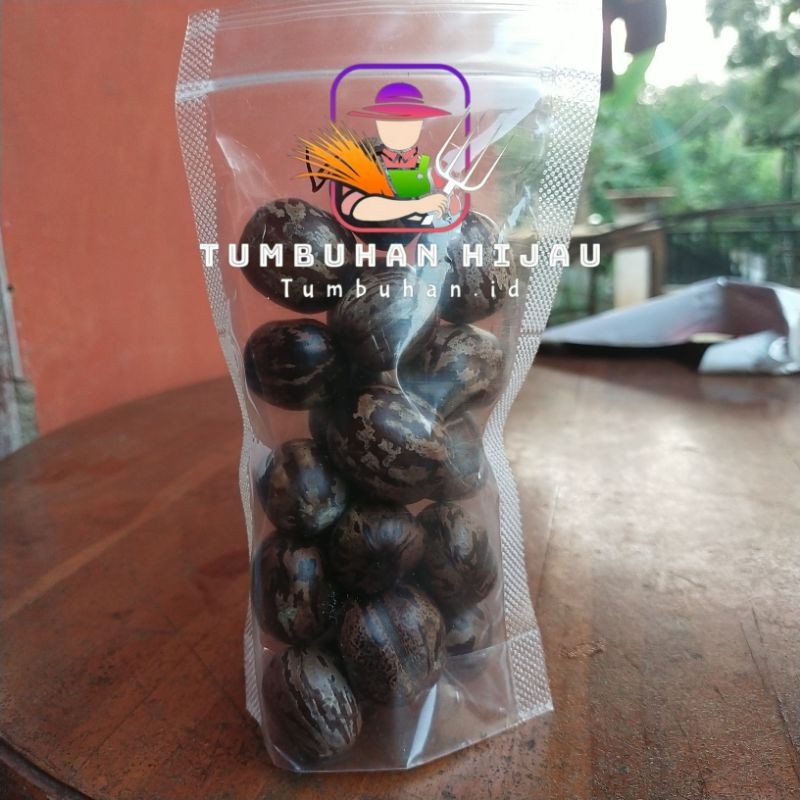 

Biji Karet Fress Siap Kemas Perpaket 100 Gram Karet Alami
