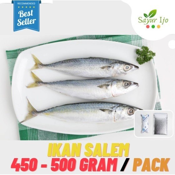 

Ayala - Ikan Salem 450 - 500 Gram / Pack Fresh Frozen Fish Seafood Laut Segar