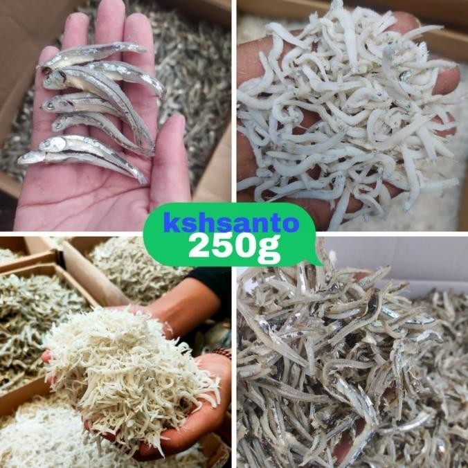 

Ikan Asin Aneka TERI MEDAN netto-250g