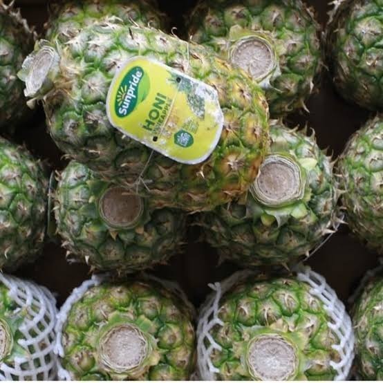 

Nanas Sunpride Perbuah