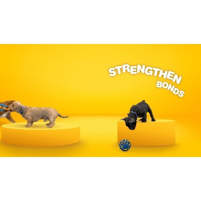 Jw Pet Company Gripsoft Double Row Undercoat Rake Dog Brush Promo