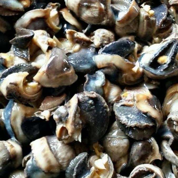 

daging bekicot escargots MRS04