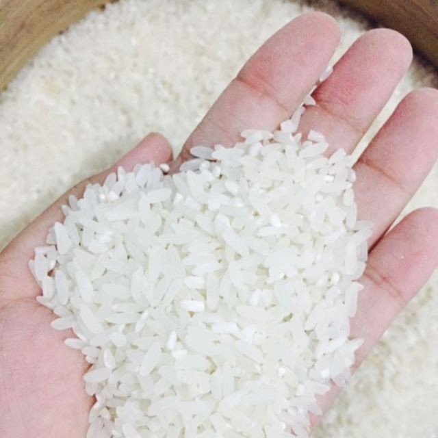 

Seed Center Beras Putih (250 Gram)