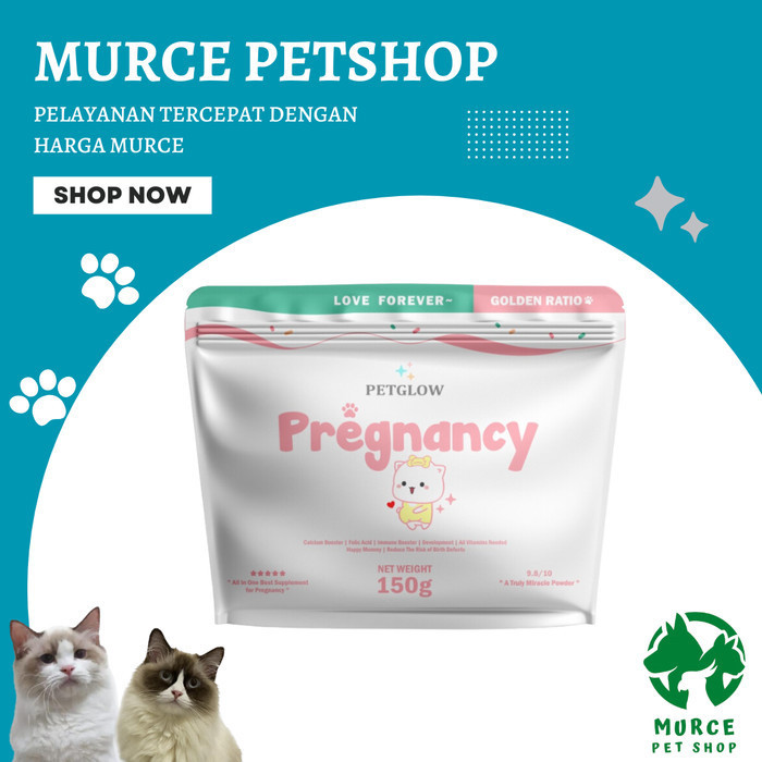 Vitamin Kucing Hamil Dan Menyusui Pregnancy By Petglow