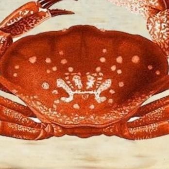 HIASAN DINDING LUKISAN KEPITING DEKORASI DINDING RUANG TAMU CAFE