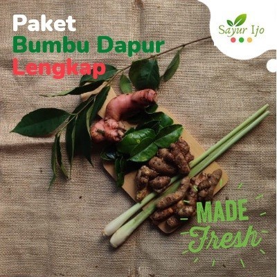 

NX314 Paket Bumbu Dapur Lengkap Fresh Rempah Sayur Hijau Segar Bahan Masakan PROMO SPECIAL