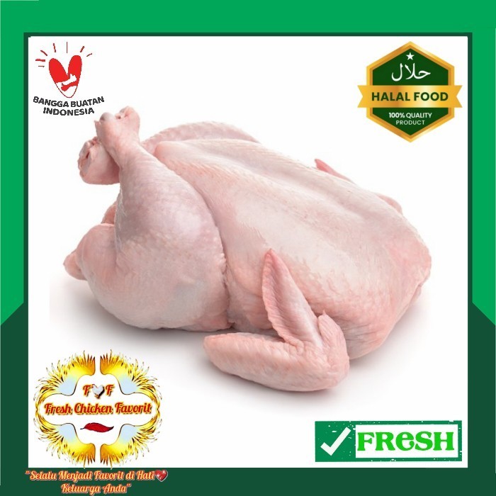

IH575 Daging Ayam/Ayam Karkas 0.9-1.0kg/Bahan Makanan/Masakan Dapur/Catering TERBARU