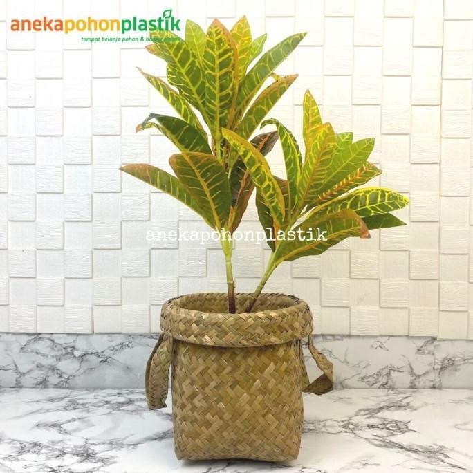 Ready Pohon Artificial Puring Worten X2 Purun Handle S Dekorasi Hiasan Rumah Pengiriman Cepat