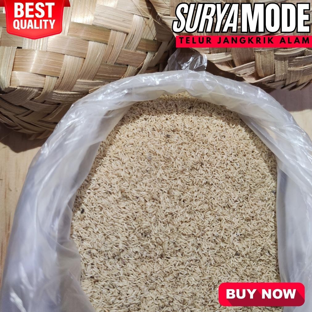 Tj Telur Jangkrik Kalung Siap Kirim Bck773