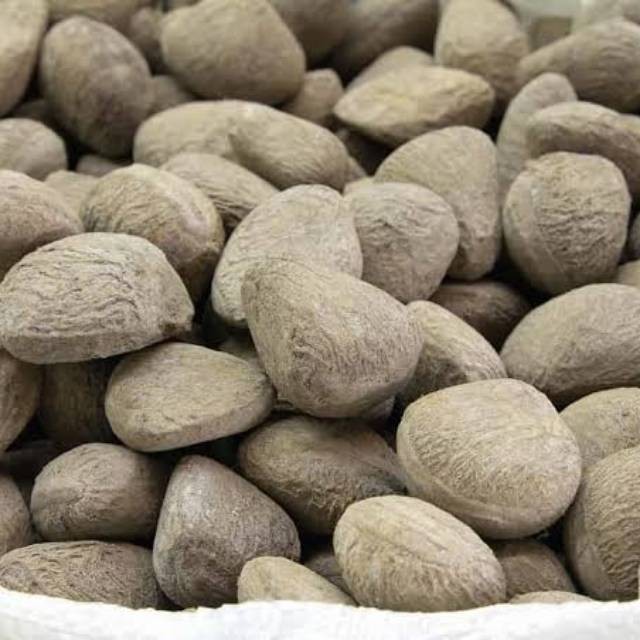 

KedaiBenih Kluwek Pucung ~ 100 Gram