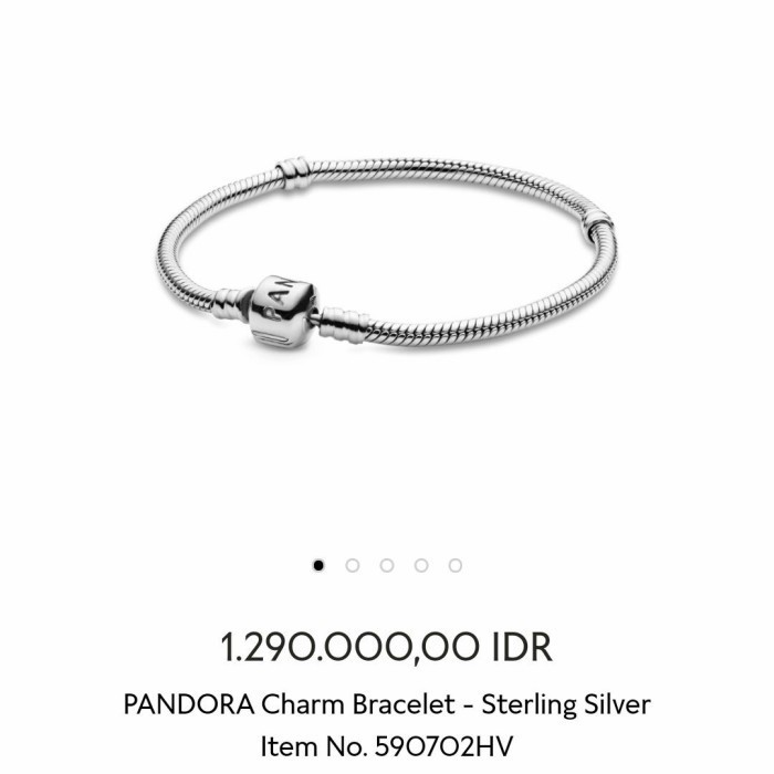 Pandora Bracelet