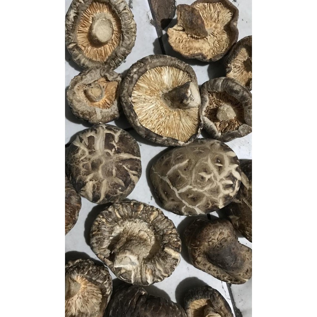 

Jamur Shitake Kering Joy Joy Hyoko/Hioko/Hwaku/Tongko