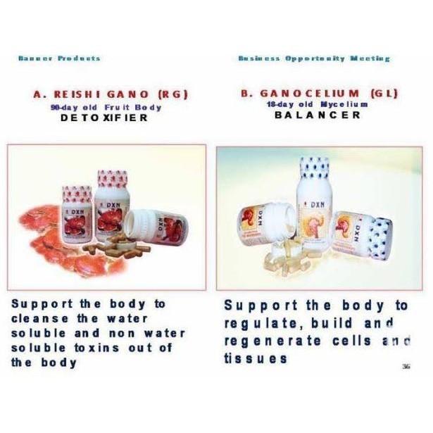 

Rg 90 ( Reishi Ganoderma) Jamur Lingshi