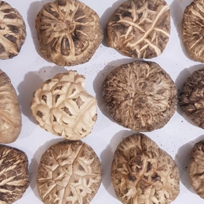 

(1 Kg) Jamur Shitake 5-6 Cm Super Fragrant Mushroom Huako Xiang Gu