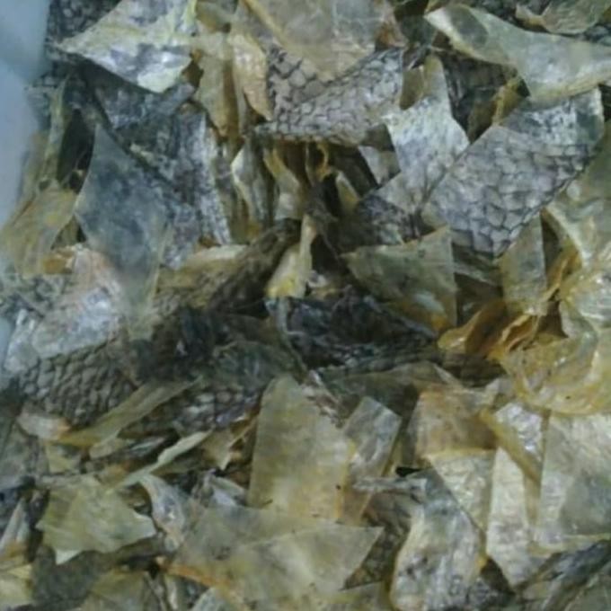 

KERUPUK KULIT IKAN KAKAP MENTAH H85S