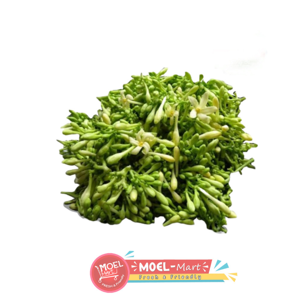 

BUNGA PEPAYA PACK