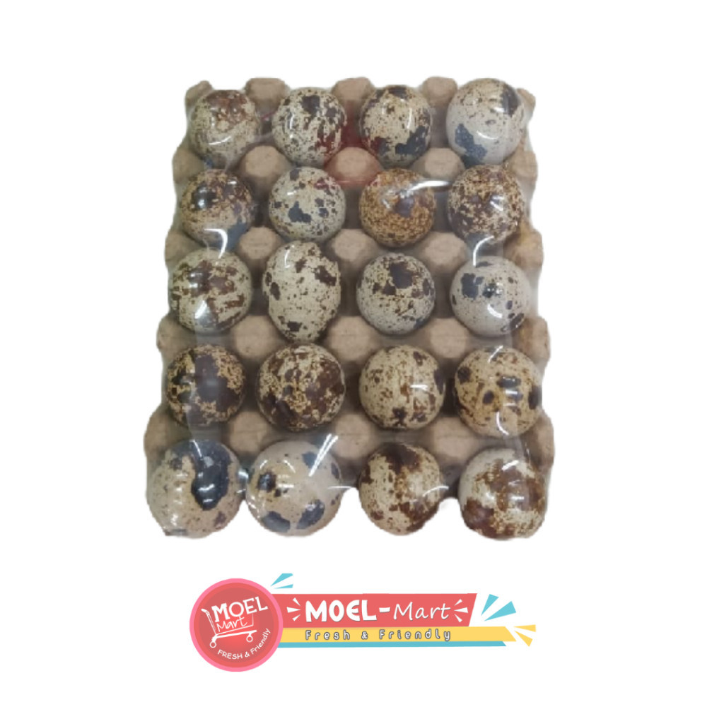 

TELUR PUYUH PACK (Isi 20 Butir)