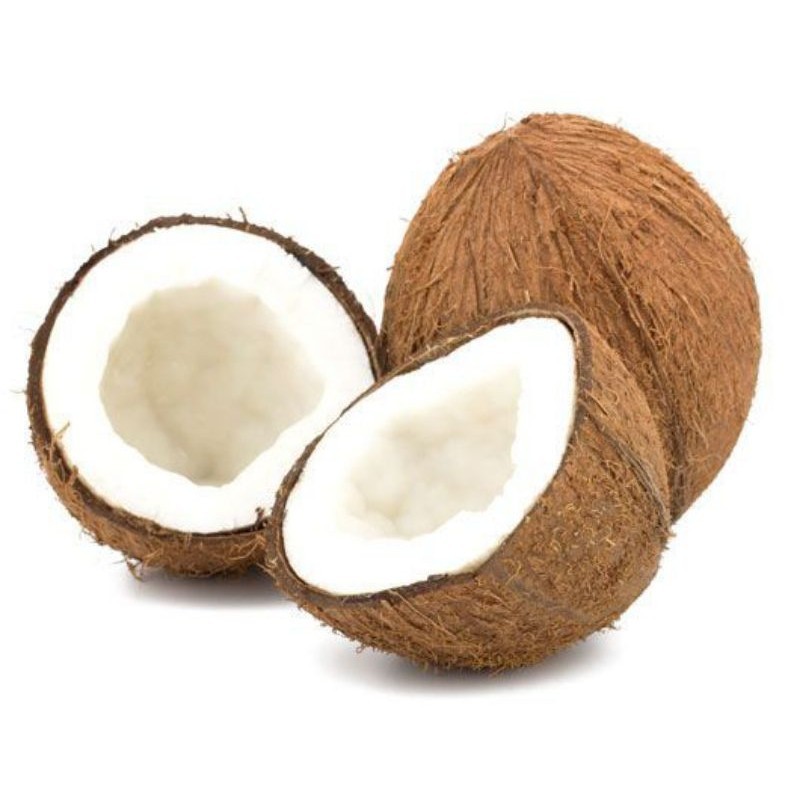 

Kelapa tua