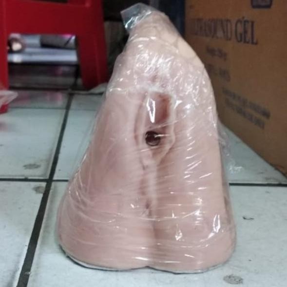Phantom Kateter Wanita Alat Phantom Catheter Cewek Manekin Manikin