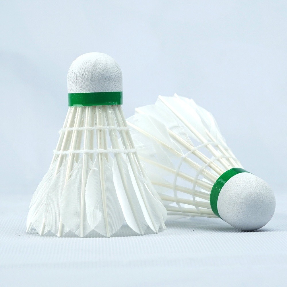 Eagle Shuttlecock Badminton Lite - Original Badminton Shuttlecock