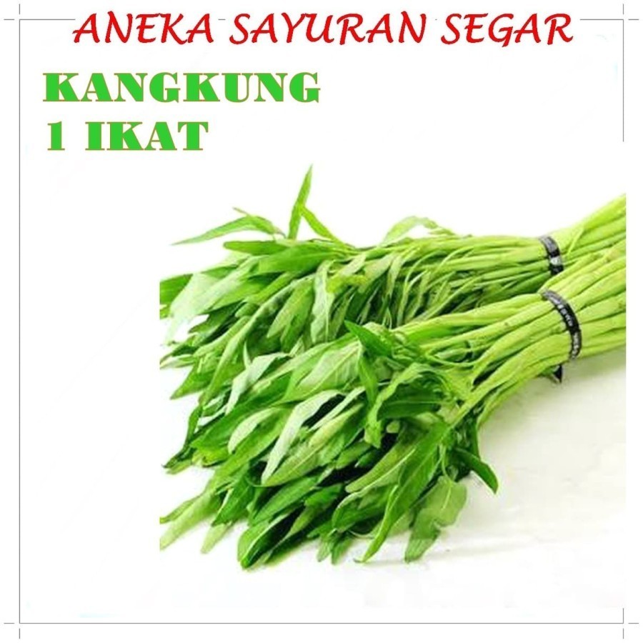 

Kangkung Ikat - Aneka Sayuran Segar