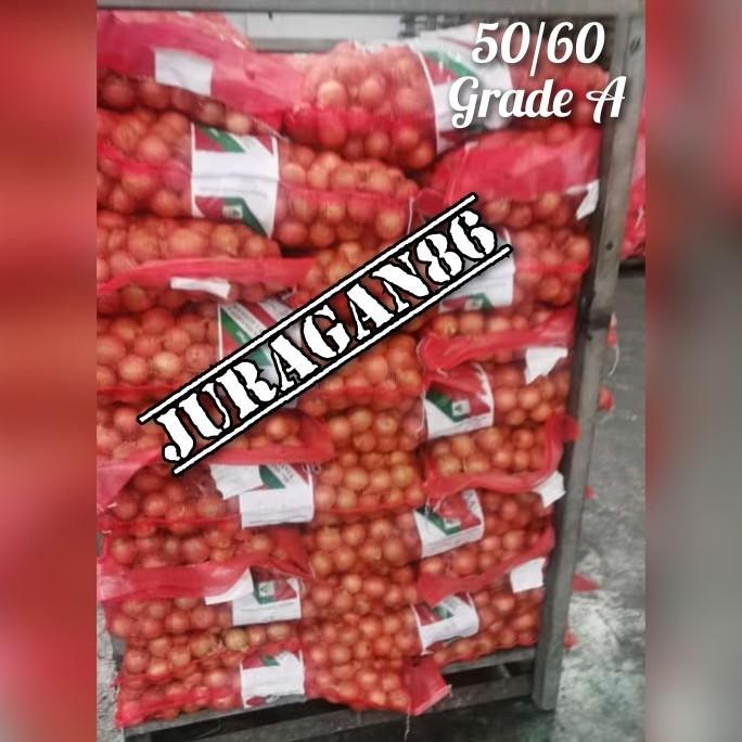 

bawang bombay 20kg/ bawang bombay NZ 20kg