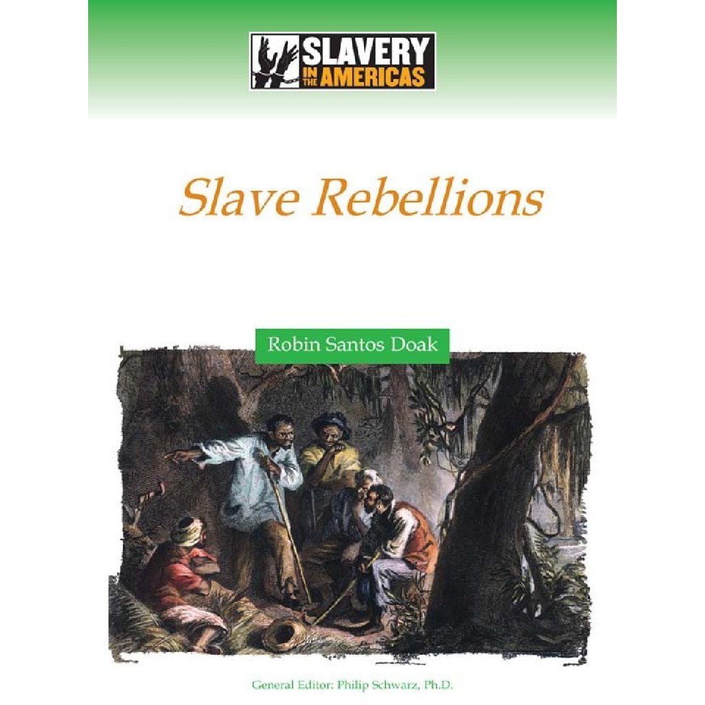 

Slavery in the Americas - Slave Rebellions (D)