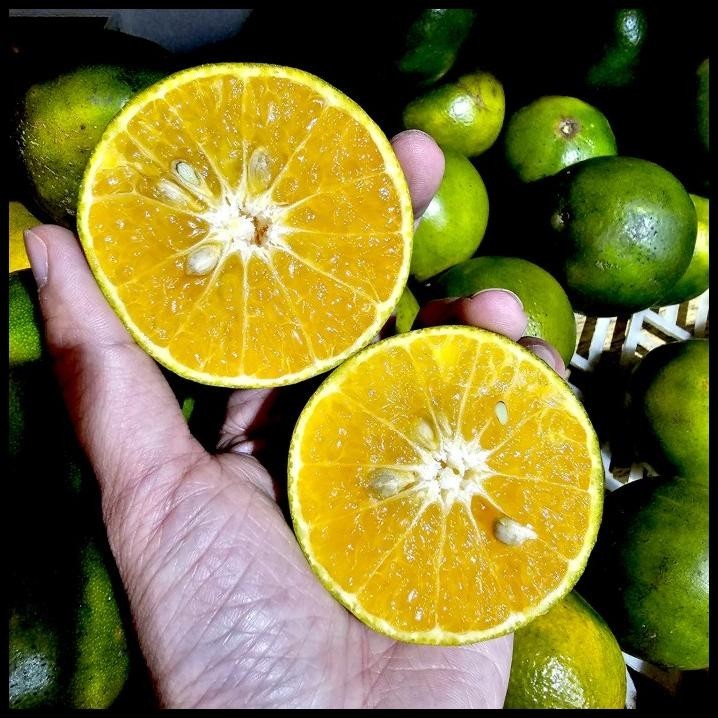 

HOT DEAL JERUK PERAS MADU MALANG !!!