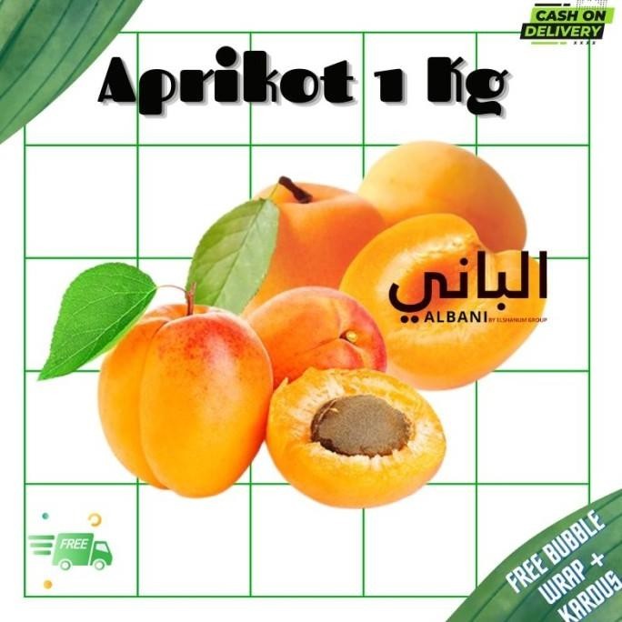 

Aprikot Kering Organik Premium 1 Kg / Organic Dried Apricot Apricots DS76